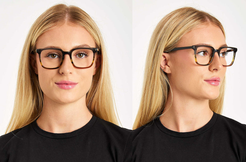 Dexter | Square Premium Glasses