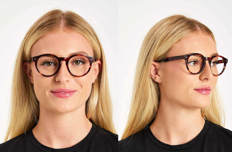 Potter | Round Premium Glasses